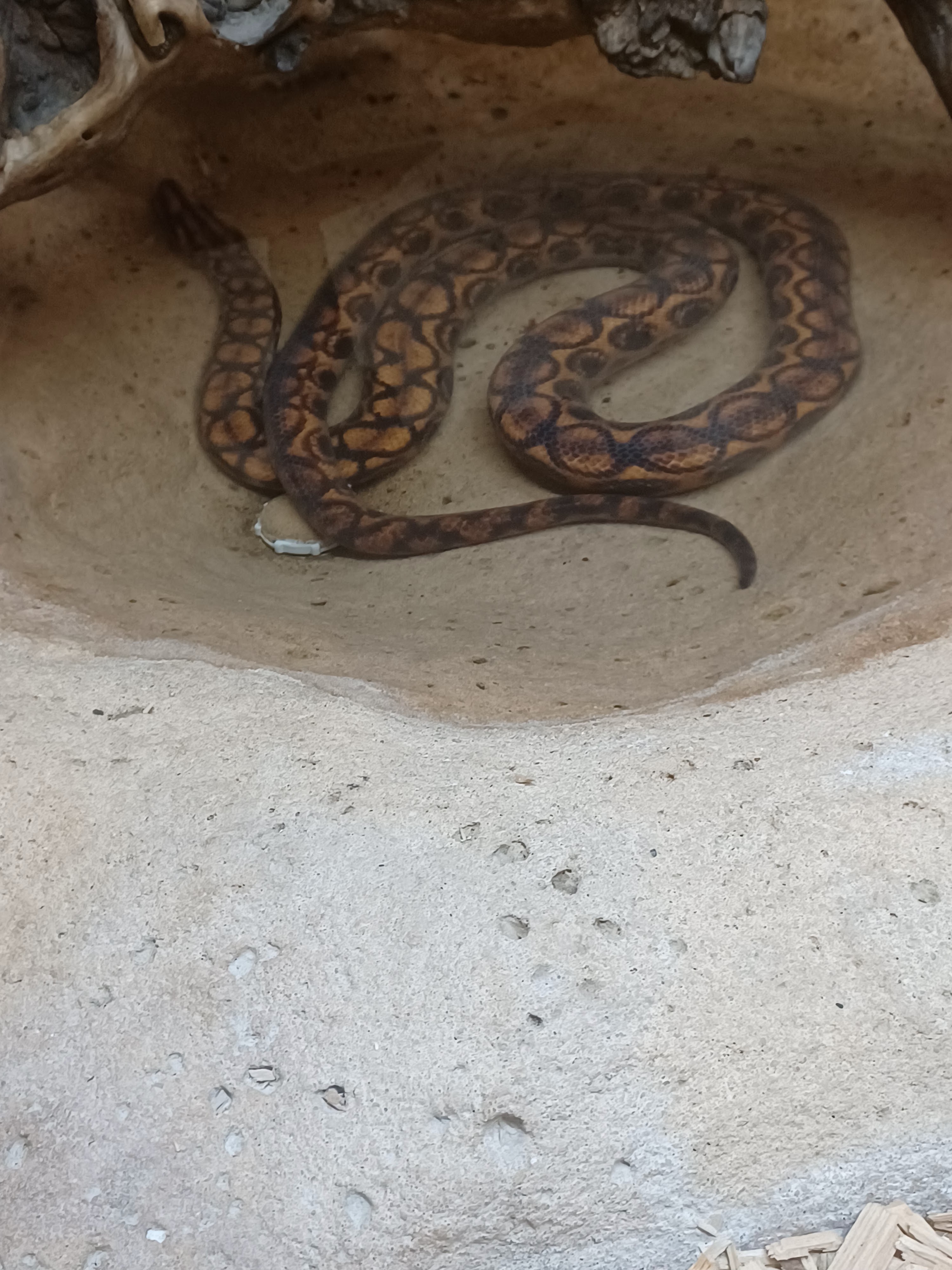 Photo n° 3 de l'avis de Christi. fait le 19/07/2023 à 14:00