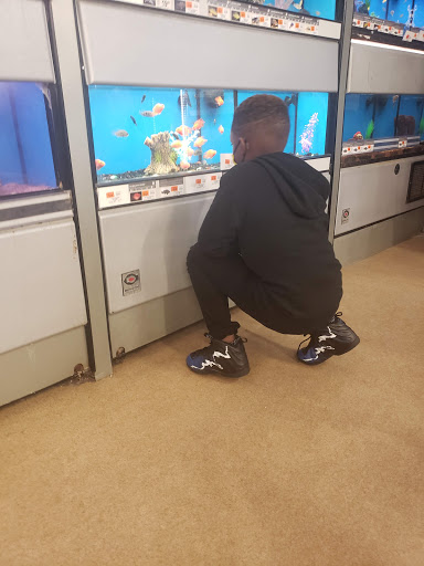 Pet Supply Store «Petco Animal Supplies», reviews and photos, 8909 Branch Ave d, Clinton, MD 20735, USA