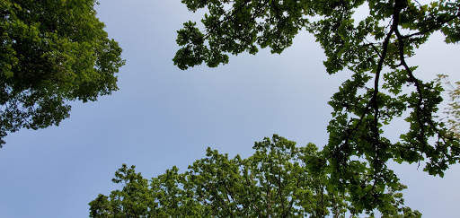 Park «Deming Heights Park», reviews and photos, 1115 St Anthony Pkwy, Minneapolis, MN 55418, USA