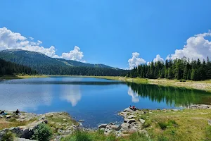 Lago Palù image