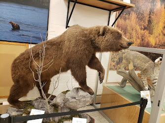 Werner Wildlife Museum at Casper College