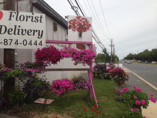 Florist «GENES FLORIST & Gift Baskets», reviews and photos, 20200 Frederick Rd, Germantown, MD 20876, USA