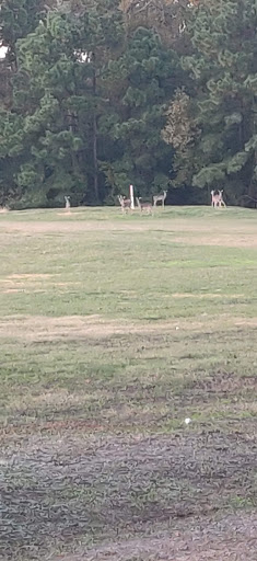 Golf Club «Newport Golf Club & Conference Center», reviews and photos, 16401 Country Club Dr, Crosby, TX 77532, USA