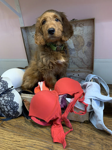 Lingerie Store «Belle Lacet Lingerie», reviews and photos, 7131 W Ray Rd #5, Chandler, AZ 85226, USA