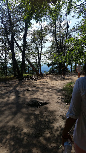 Winery «Narmada Winery», reviews and photos, 43 Narmada Ln, Amissville, VA 20106, USA