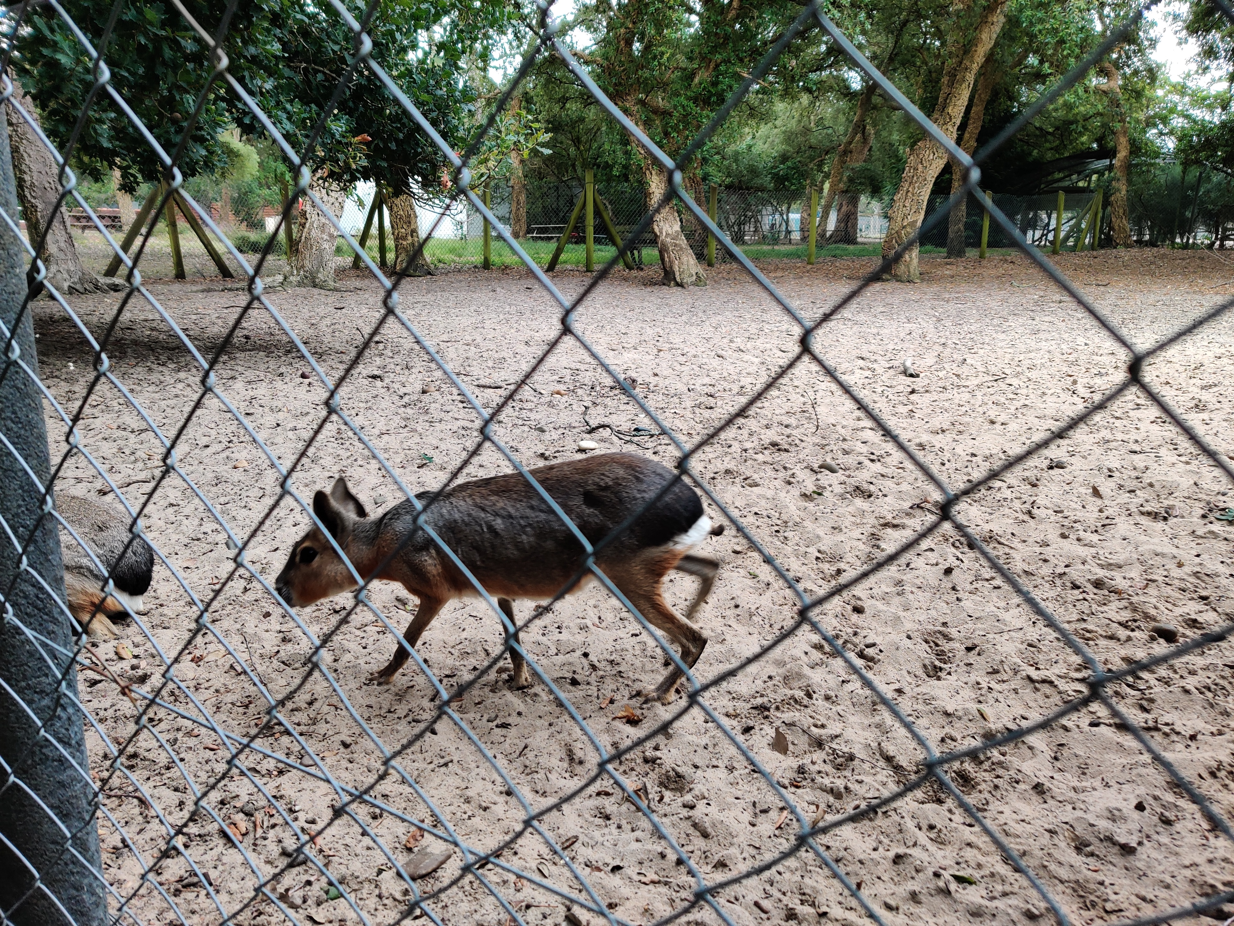 Photo n° 18 de l'avis de Loïc.i fait le 14/06/2019 à 05:58