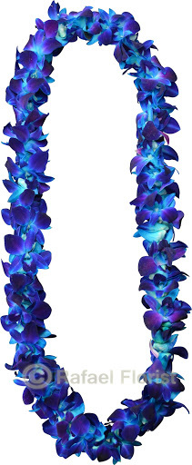 Florist «Rafael Florist», reviews and photos, 891 4th St, San Rafael, CA 94901, USA