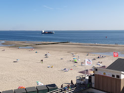 Zoutelande beach'in fotoğrafı çok temiz temizlik seviyesi ile