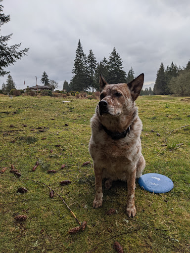 Golf Course «Kayak Point Golf Course», reviews and photos, 15711 Marine Drive NE, Stanwood, WA 98292, USA