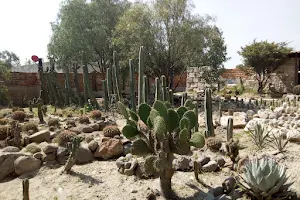 Museo Arqueológico de Coyotepec Ehecalli image