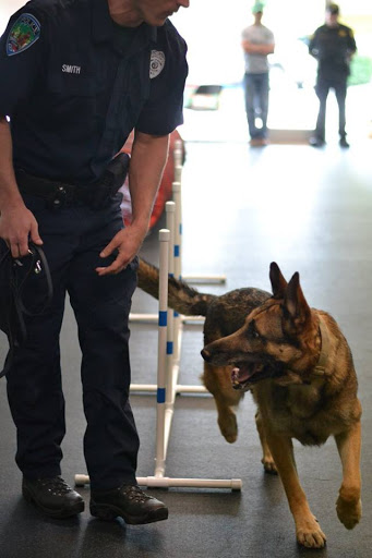 Pet Store «The Pet Place», reviews and photos, 240 Shadowline Dr, Boone, NC 28607, USA