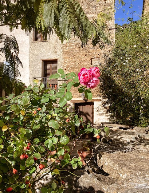 Casa di Babbo en Corse à Valle-di-Campoloro ( )