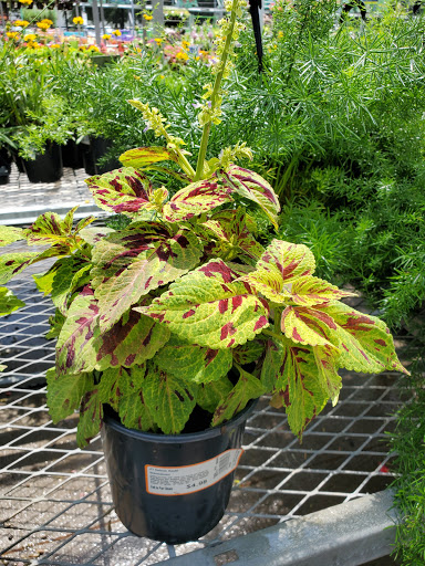 Home Improvement Store «The Home Depot», reviews and photos, 415 E Hwy 377, Granbury, TX 76048, USA