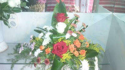 Photos of زهور ياسمين خليفه