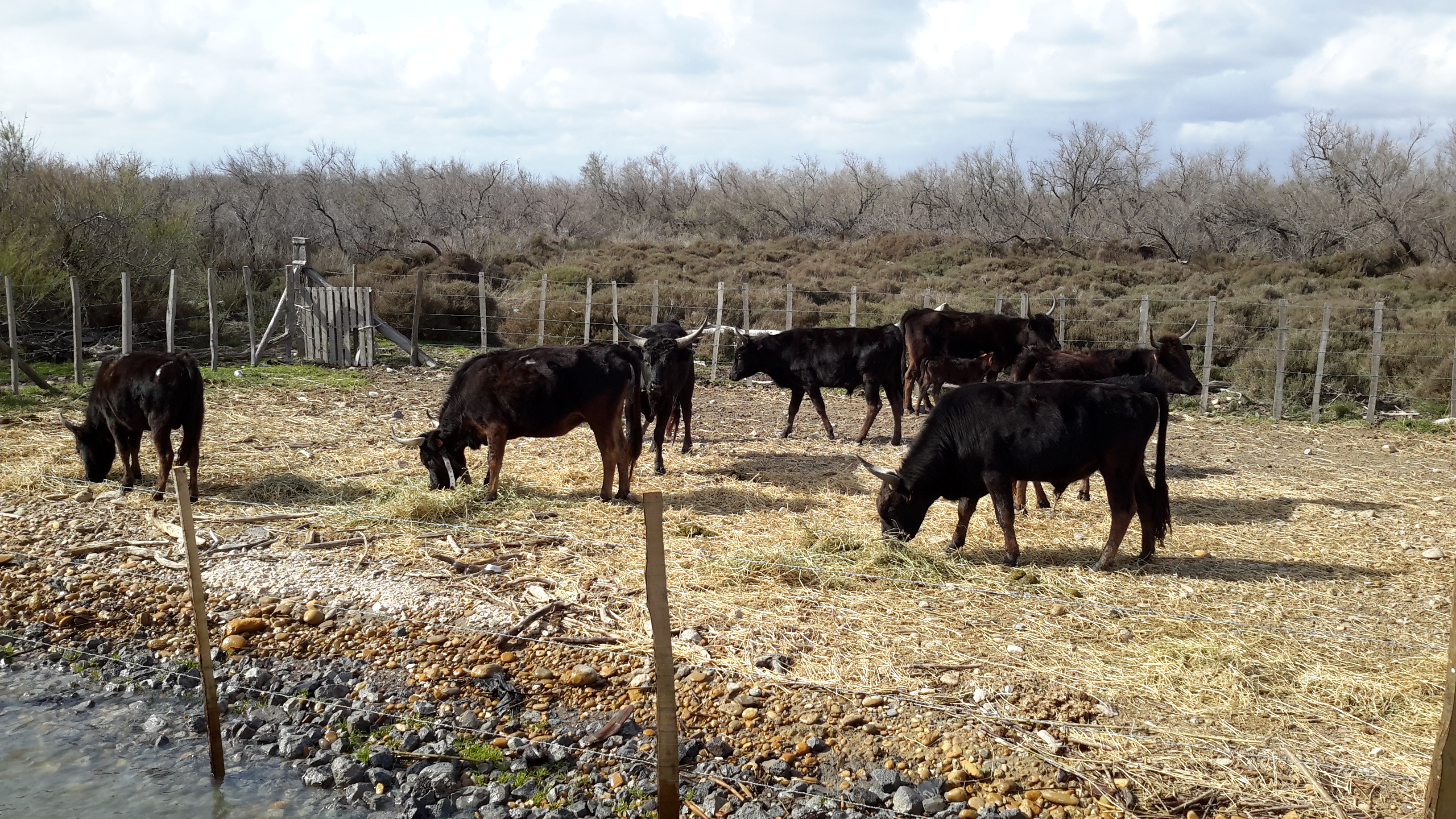 Photo n° 2 de l'avis de Pierre-paul.a fait le 12/04/2018 à 08:15
