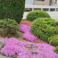 （有）安達商店
