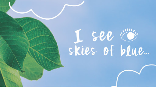 Optometrist «Eyecare Elements», reviews and photos, 15650 NE 24th St, Bellevue, WA 98008, USA