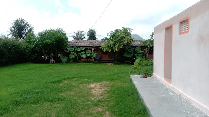 Chotu's Farm