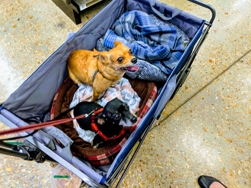 Pet Supply Store «Petco Animal Supplies», reviews and photos, 2358 S Range Ave, Denham Springs, LA 70726, USA