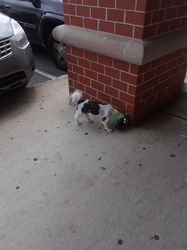 Pet Supply Store «Honey Bee Pets», reviews and photos, 277 Main St, Belleville, NJ 07109, USA