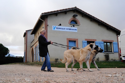 Clinique Vétérinaire des Portes du GERS - CRECS à L'Isle-Jourdain