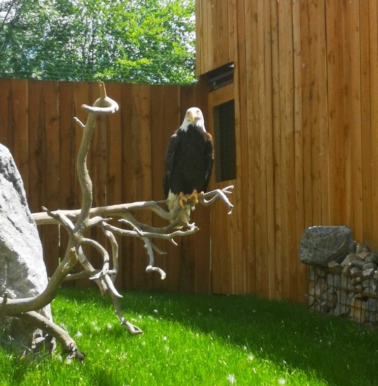 Photo n° 17 de l'avis de Thierry.E fait le 17/06/2022 à 17:40