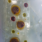 Photo n°2 de l'avis de Michele.a fait le 18/07/2020 à 12:40 sur le  Ristorante La Paglia Marotta à Marotta