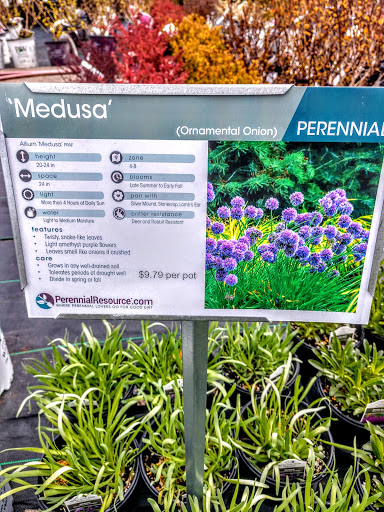 Florist «Pletschers», reviews and photos, 641 Old Hwy 8 SW, New Brighton, MN 55112, USA