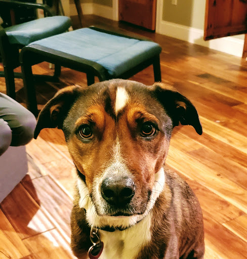 9412 Penny Rd, Raleigh, NC 27606, USA