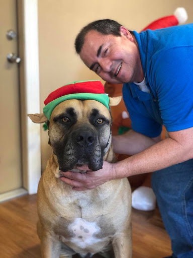 Day Care Center «Palm Beach Paw Spa», reviews and photos, 715 Commerce Way W, Jupiter, FL 33458, USA