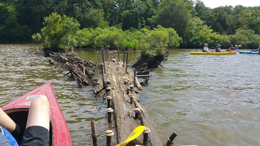 Tourist Attraction «Mallows Bay», reviews and photos, 1440 Wilson Landing Rd, Nanjemoy, MD 20662, USA