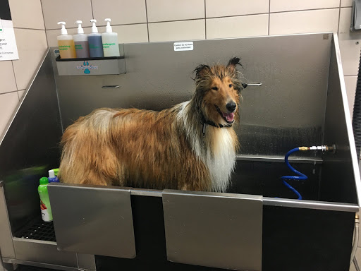 Pet Supply Store «Pet Supplies Plus», reviews and photos, 700 Boston Rd Suite 12b, Billerica, MA 01821, USA