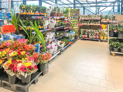Lidl à Gex