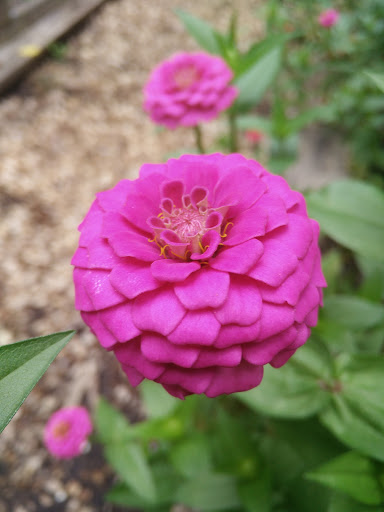 Park «Potomac Overlook Regional Park», reviews and photos, 2845 Marcey Rd, Arlington, VA 22207, USA