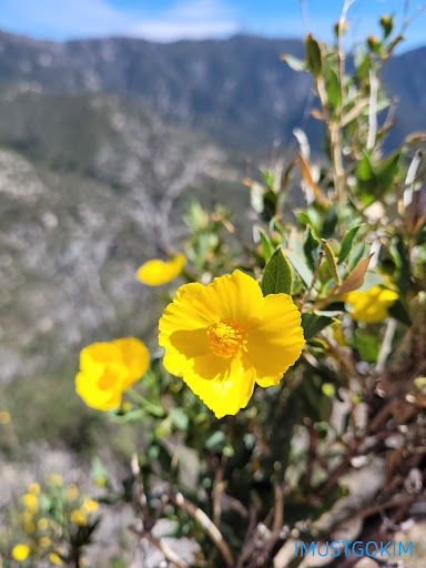 Observation Deck «Inspiration Point», reviews and photos, Echo Mountain (Mount Lowe Railroad Trail), Altadena, CA 91001, USA