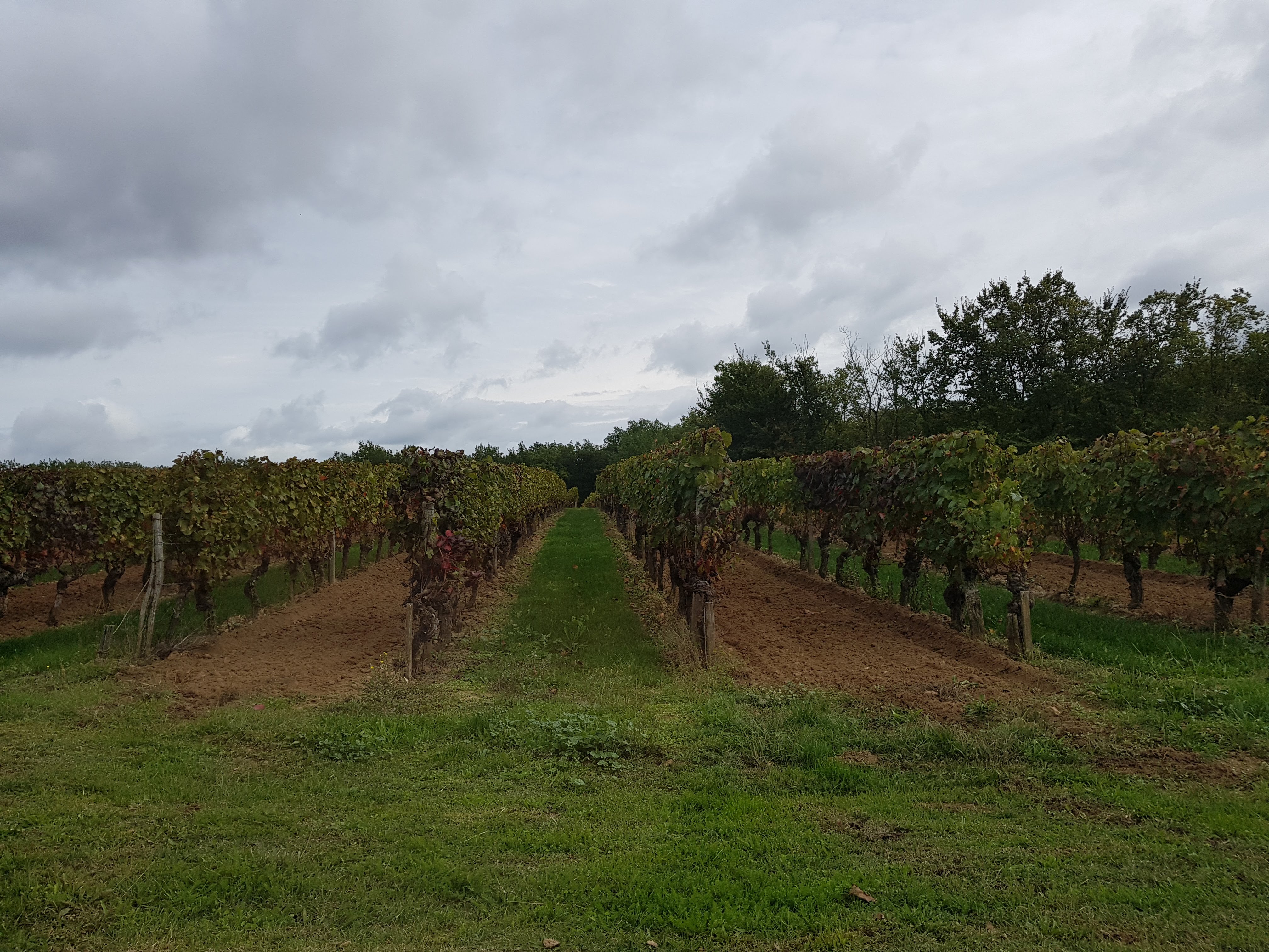 Photo n° 2 de l'avis de Pierre-Etienne.u fait le 27/10/2018 à 17:30