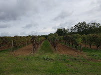 Photo n° 1 de l'avis de Pierre-Etienne Jud fait le 27/10/2018