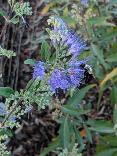 Tourist Attraction «The Gorge - A Zipline Canopy Tour», reviews and photos, 166 Honey Bee Dr, Saluda, NC 28773, USA