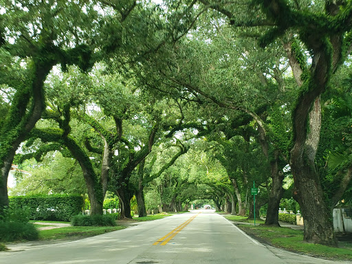 Park «Salvadore Park», reviews and photos, 1120 Andalusia Ave, Coral Gables, FL 33134, USA