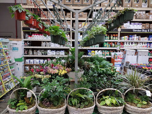The Home Depot image