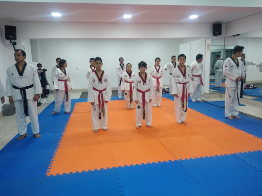 Academia Taekwondo FALCON WHITE PERU