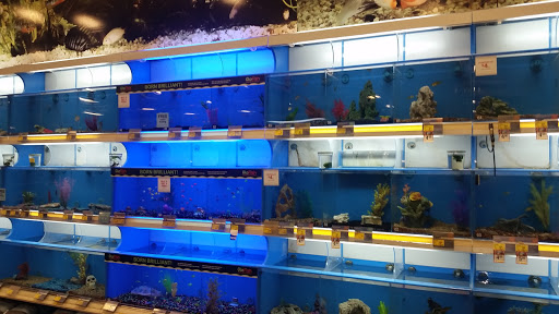 Pet Supply Store «PetSmart», reviews and photos, 2920 Little Rd, Trinity, FL 34655, USA