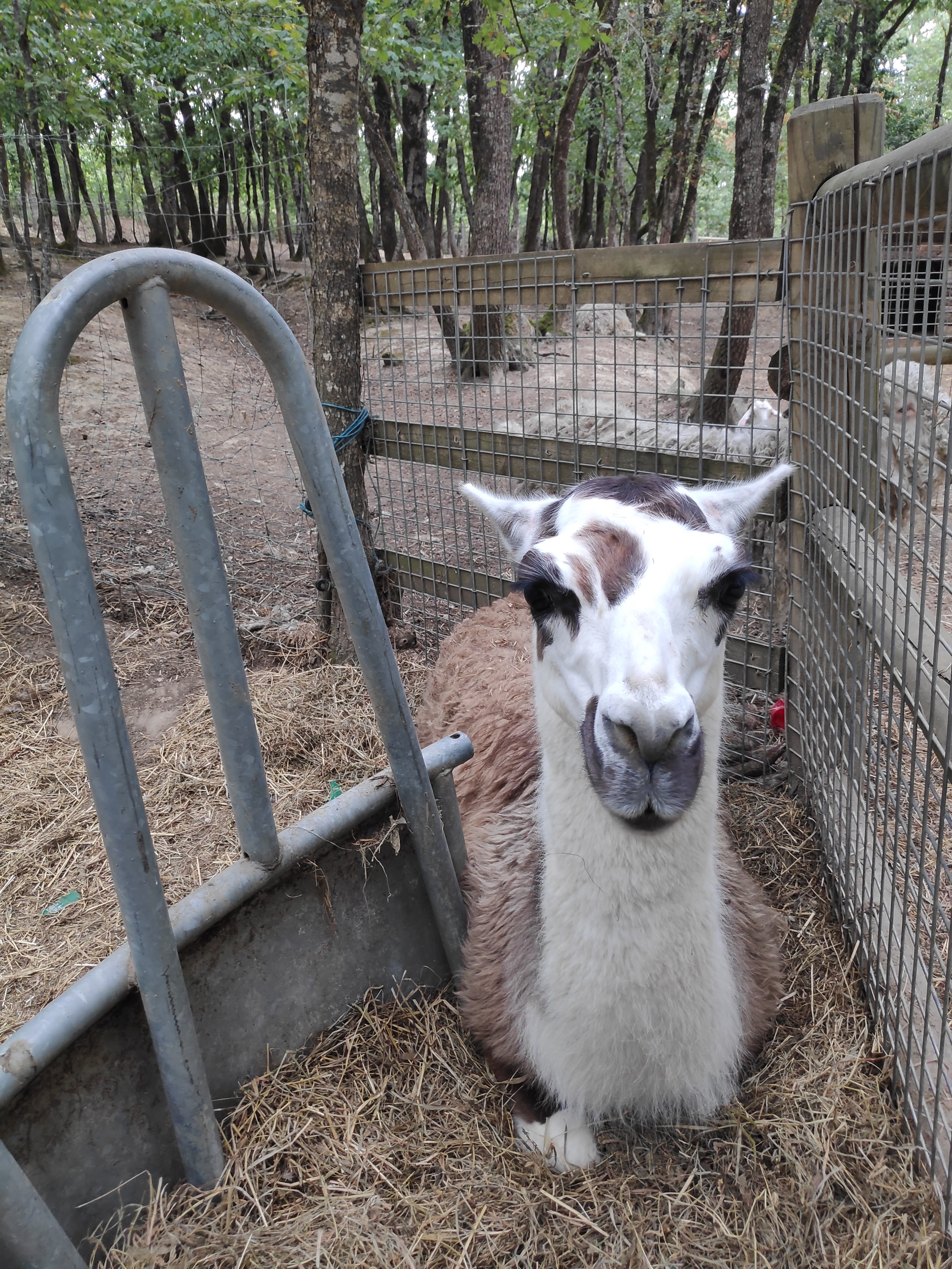 Photo n° 7 de l'avis de jennifer.a fait le 20/07/2019 à 20:52