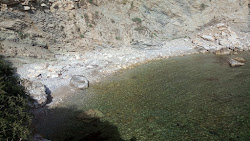 Cala dei Sogni'in fotoğrafı vahşi alan