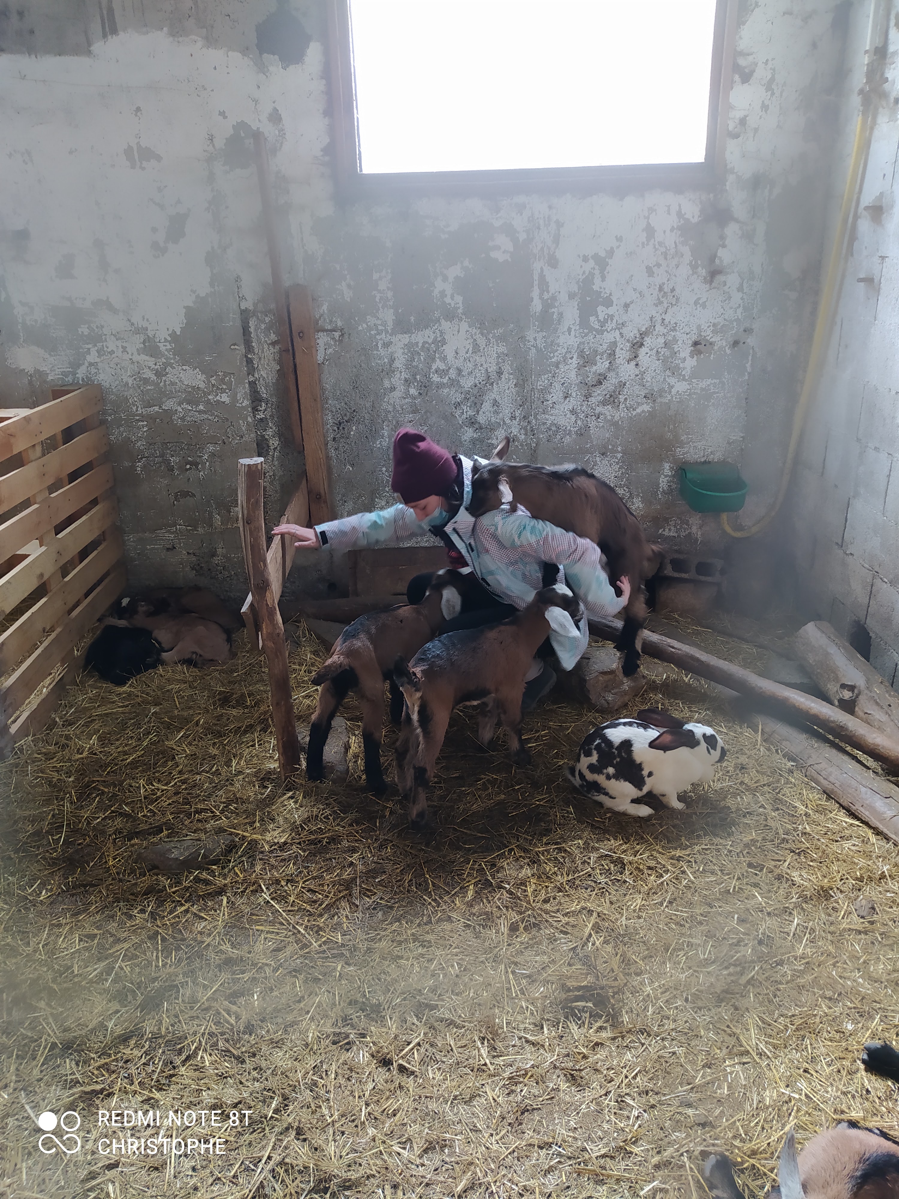 Photo n° 1 de l'avis de christophe.o fait le 27/02/2021 à 12:17