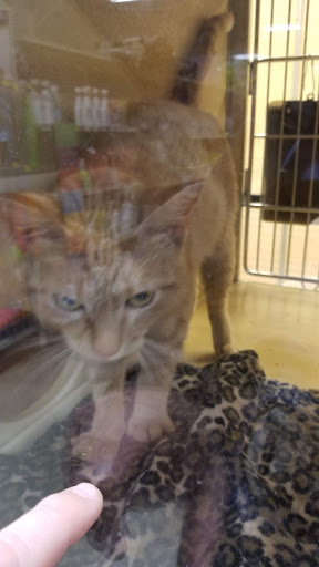 Pet Supply Store «PetSmart», reviews and photos, 5005 S 74th St, Greenfield, WI 53220, USA