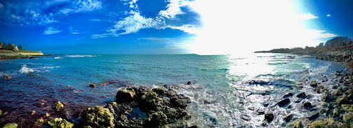 Park «Stage Fort Park», reviews and photos, 24 Hough Ave, Gloucester, MA 01930, USA