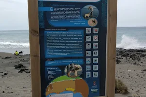 Playa El Horno de uso mixto con mascotas image