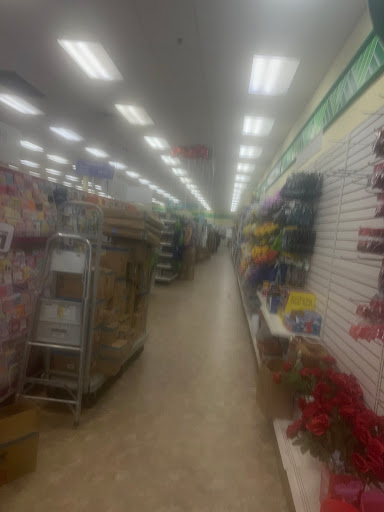 Dollar Store «Dollar Tree», reviews and photos, 759 Bustleton Pike, Feasterville, PA 19053, USA