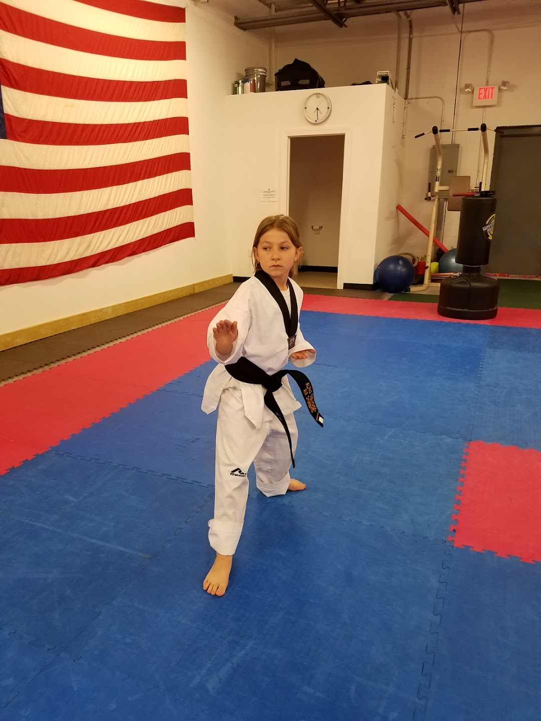 ALPHA TAEKWONDO AND FITNESS